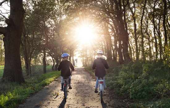 två barn som cyklar i en skog